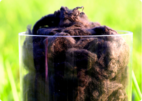 亚洲必赢(股份)有限公司官网