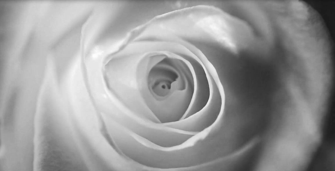 亚洲必赢(股份)有限公司官网