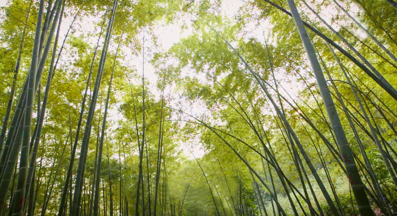 亚洲必赢(股份)有限公司官网