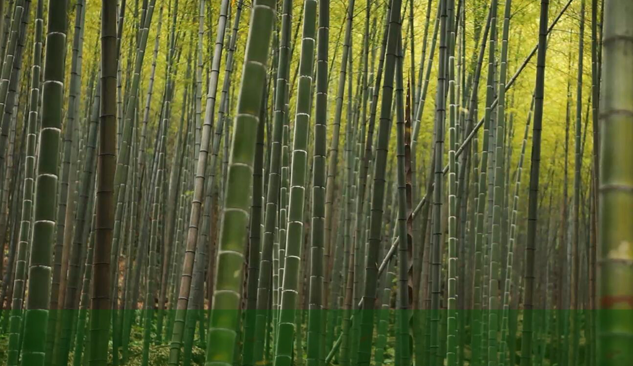 亚洲必赢(股份)有限公司官网